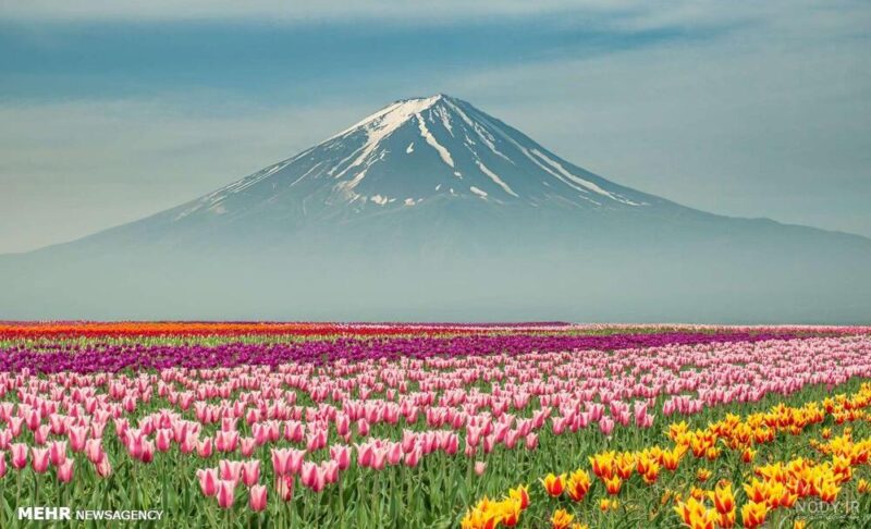 بهار-ایران